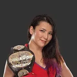 Hikaru Shida志田光