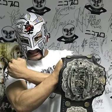 Bushi