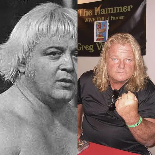 Ray Stevens & Greg Valentine