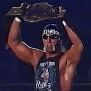 Hollywood Hogan