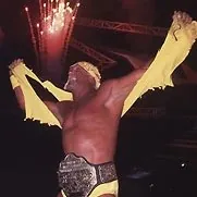 Hollywood Hogan