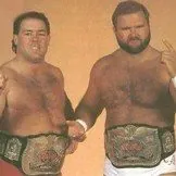 The Brain Busters (Arn Anderson & Tully Blanchard)阿恩·安德森 & 塔利·布兰查德