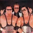The Hart Foundation (Bret Hart & Jim Neidhart)布雷特·哈特 & 吉姆·内蒂哈特